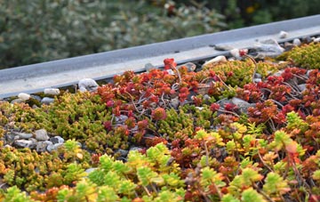 the cost of Mount High green roof installation