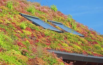 Mount High living roof systems