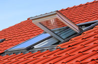 Mount High roof window