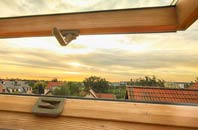 rated Mount High roof window companies